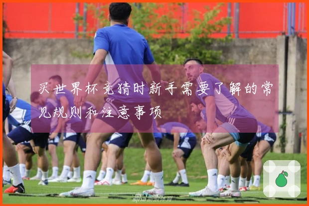 买世界杯竞猜时新手需要了解的常见规则和注意事项