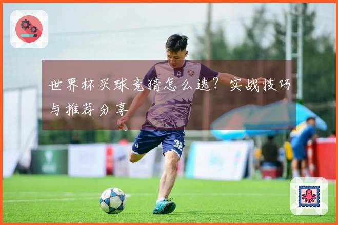 世界杯买球竞猜怎么选？实战技巧与推荐分享