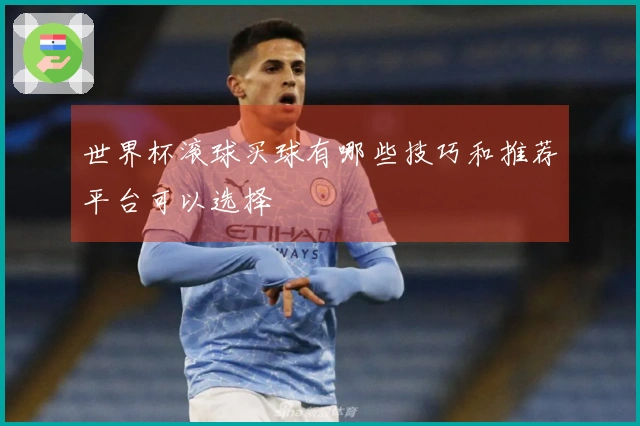 世界杯滚球买球有哪些技巧和推荐平台可以选择