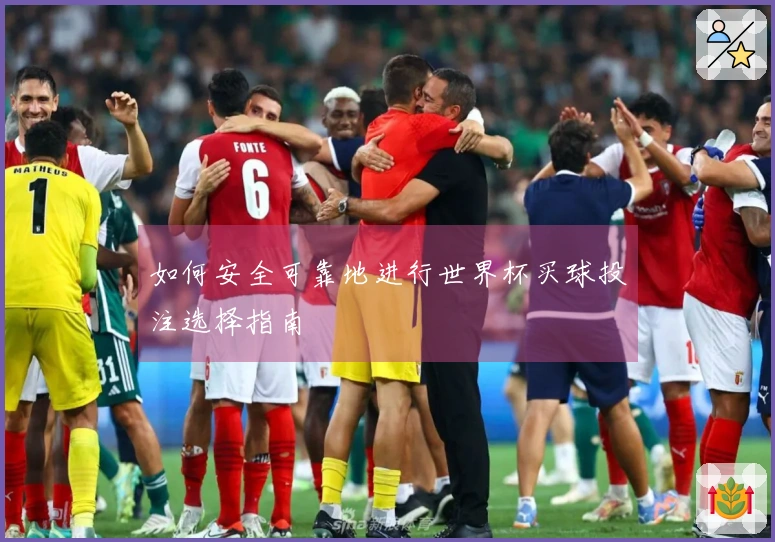 如何安全可靠地进行世界杯买球投注选择指南