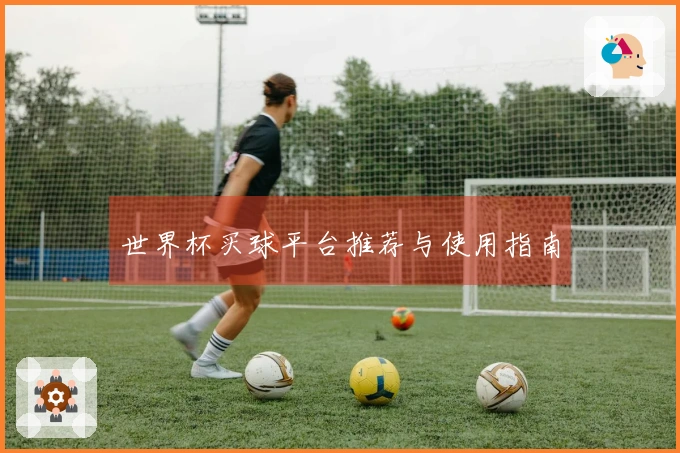 世界杯买球平台推荐与使用指南