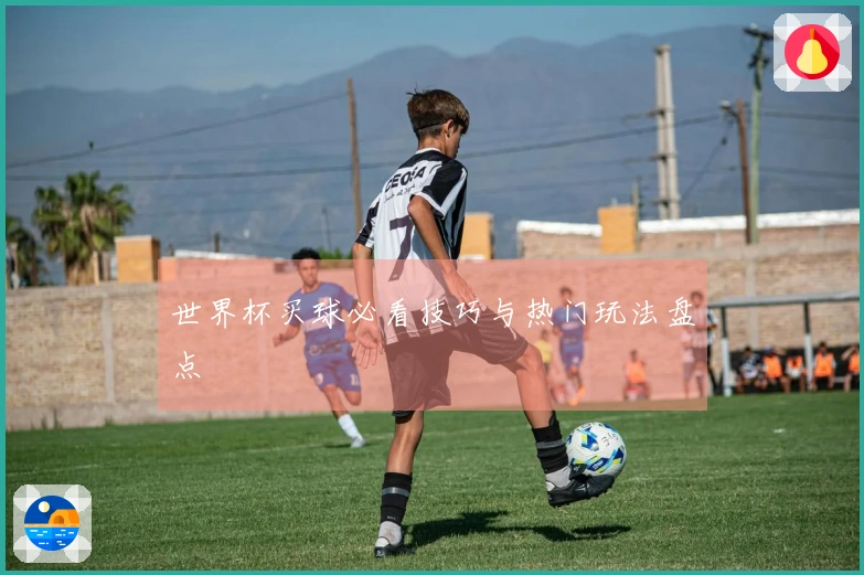 世界杯买球必看技巧与热门玩法盘点