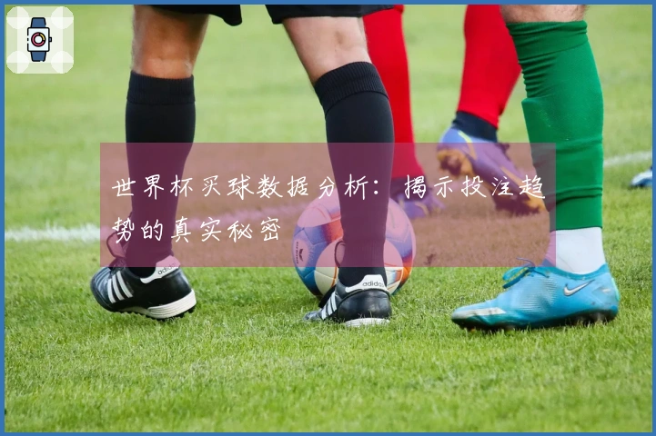世界杯买球数据分析：揭示投注趋势的真实秘密