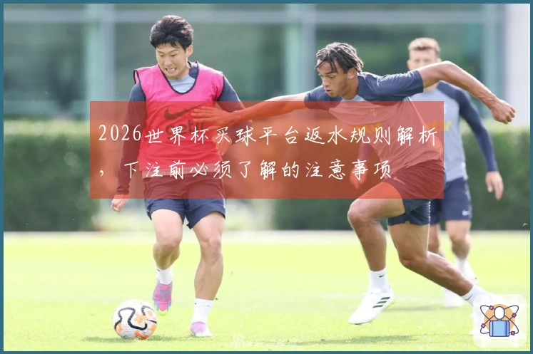 2026世界杯买球平台返水规则解析，下注前必须了解的注意事项