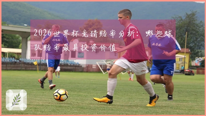 2026世界杯竞猜赔率分析：哪些球队赔率最具投资价值