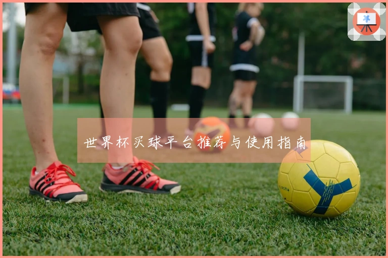 世界杯买球平台推荐与使用指南