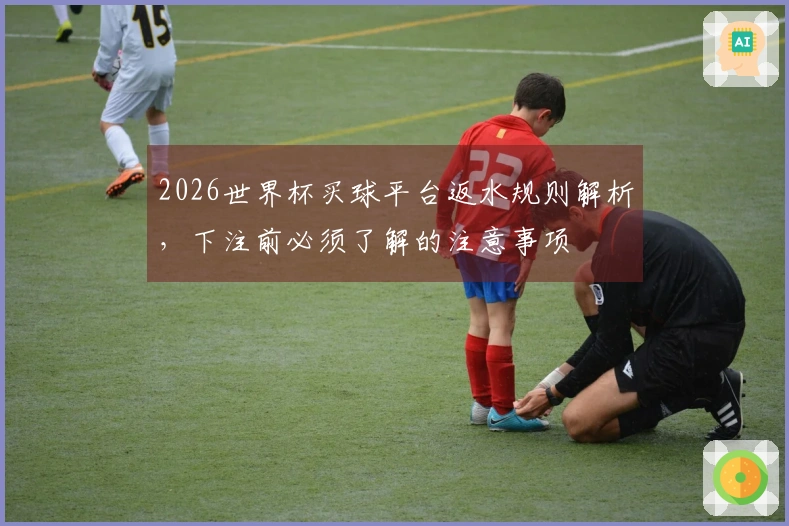 2026世界杯买球平台返水规则解析，下注前必须了解的注意事项