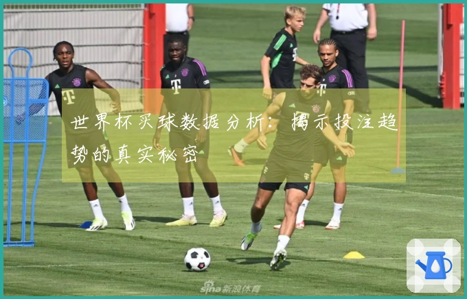 世界杯买球数据分析：揭示投注趋势的真实秘密